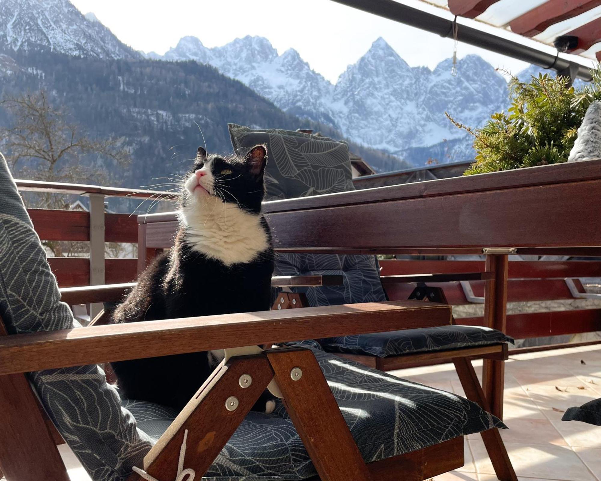 Apartma Felix * Kranjska Gora